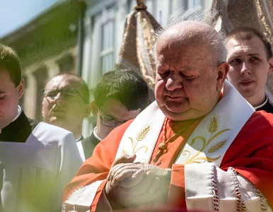 Miniatura: Kardynał Dziwisz będzie miał problemy?...