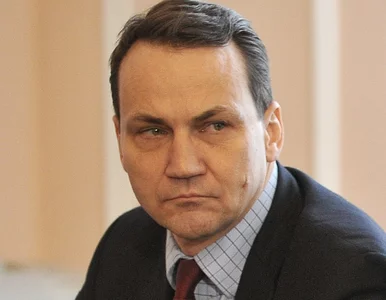 Miniatura: Sikorski o Syrii: jest nadzieja