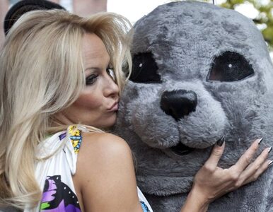 Miniatura: Pamela Anderson do Putina: nie kupujcie...