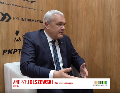 Miniatura: Andrzej Olszewski, wiceprezes Zarządu PKP...