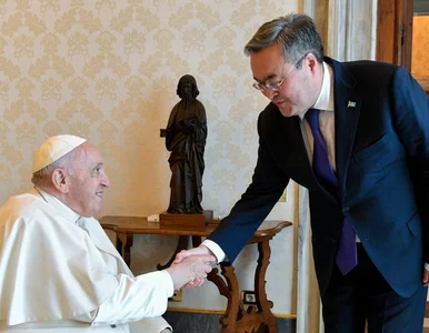 Miniatura: Papież Franciszek pochwala wkład...