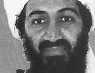 Miniatura: Ochroniarz Bin Ladena: mój szef popełnia...