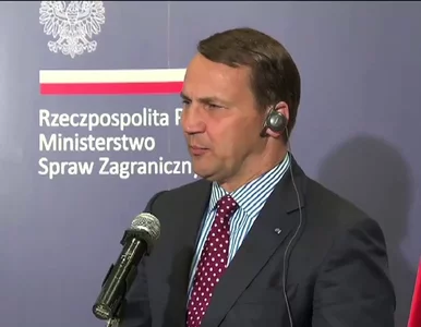 Miniatura: Sikorski: Zestrzelenie samolotu przelało...