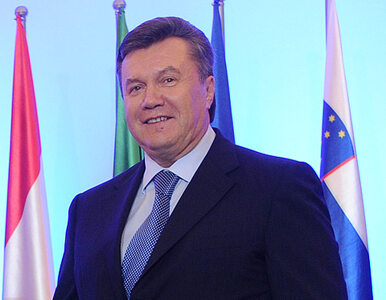 Ukraińcy polują na portrety Janukowycza. Jajkami i farbą