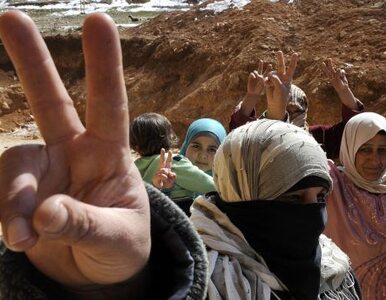 Miniatura: Libijczycy uczą Syryjczyków jak obala się...