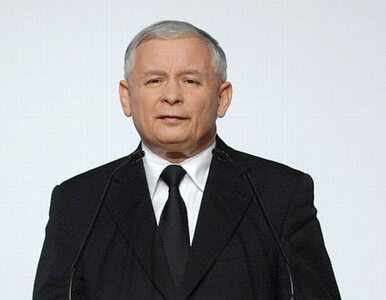 Miniatura: "Dla Rosji Kaczyński jest idealnym...
