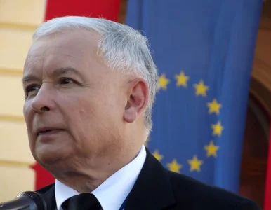 Miniatura: Jarosław Kaczyński o swojej kotce: Co noc...