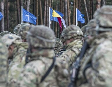 Miniatura: Reuters pisze o relacjach Polski z NATO w...
