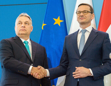 Miniatura: Orban i Morawiecki na wspólnej konferencji...