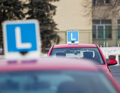 Miniatura: Egzaminy na prawo jazdy: resort Nowaka...