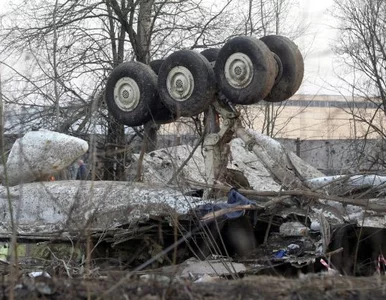 Miniatura: Czy dziadkowie pilotów lecących do...