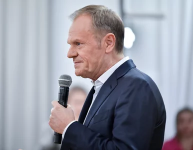 Miniatura: Donald Tusk wskazał na sondaże, odkąd...