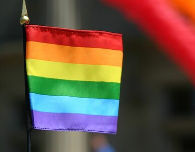 Miniatura: Prezydent: homoseksualiści są gorsi od...