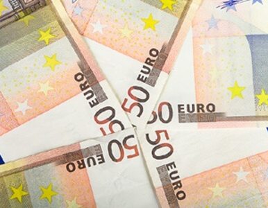 Miniatura: Rząd wymienił fundusze unijne