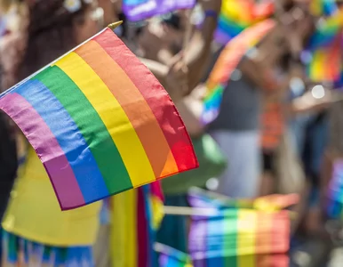 Miniatura: Cała UE „strefą przyjazną LGBT”. PE...