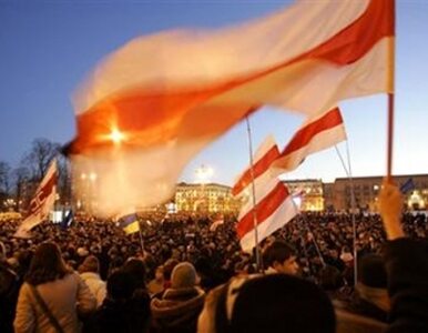 Miniatura: Polacy organizują obchody święta...
