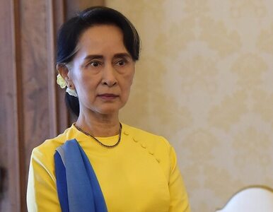 Miniatura: Nie tylko Aung San Suu Kyi. 9 nagród,...