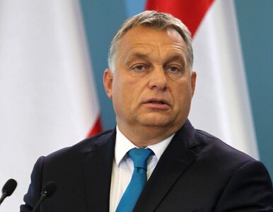 Miniatura: Węgry przyjmą uchodźców? Orbán stawia UE...