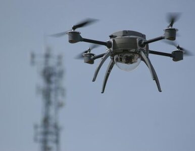 Miniatura: Ukraina chce kupić polskie drony