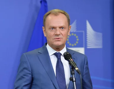 Miniatura: Tusk o przegranej PO: Najmniej zastrzeżeń...