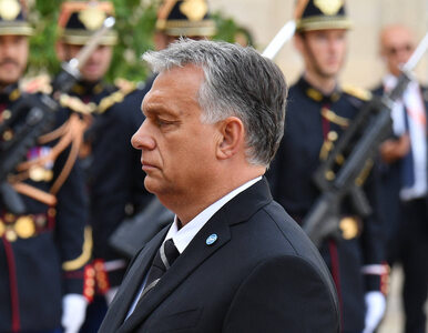 Miniatura: Viktor Orban nieugięty. Węgry nie wysyłają...