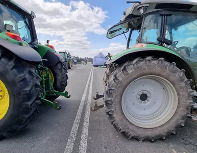 Miniatura: Rolnicy żądają tarczy wojennej. Biorą...