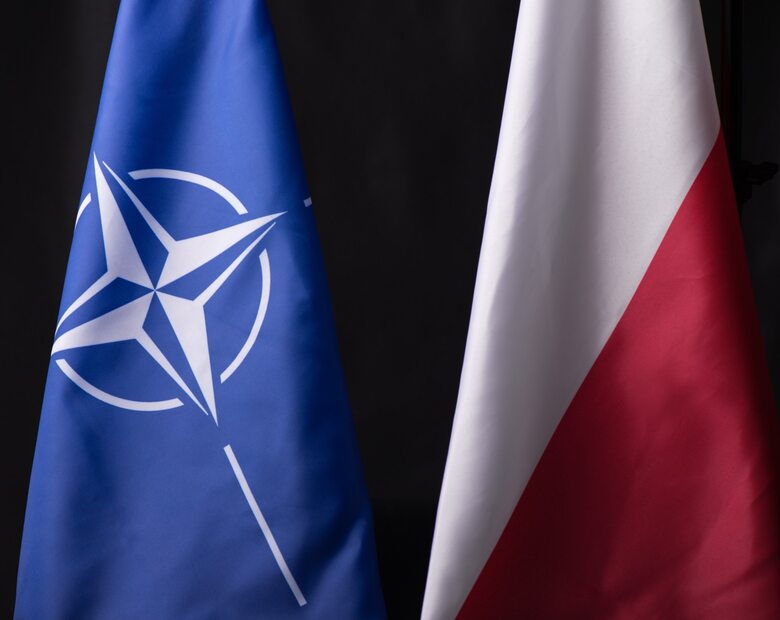 Miniatura: Sprawdź, co wiesz o NATO! Więcej niż...