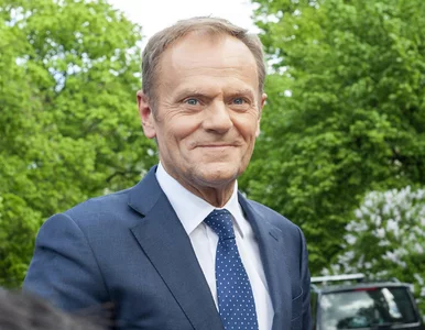 Miniatura: Tusk skomentował sprawę „tęczowej” Matki...