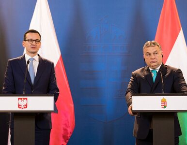 Miniatura: Orban: Wspólnota losów Europy Środkowej...