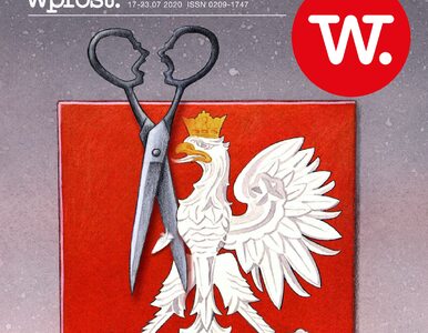 Miniatura: Najnowszy Wprost: Kto poskleja Polskę po...