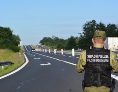 Miniatura: Polska przywróciła kontrole na granicach....